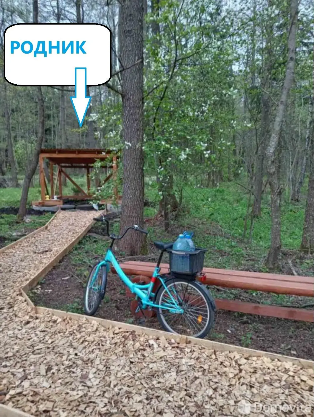 участок, Ведрица, , стоимость продажи 12 030 р.