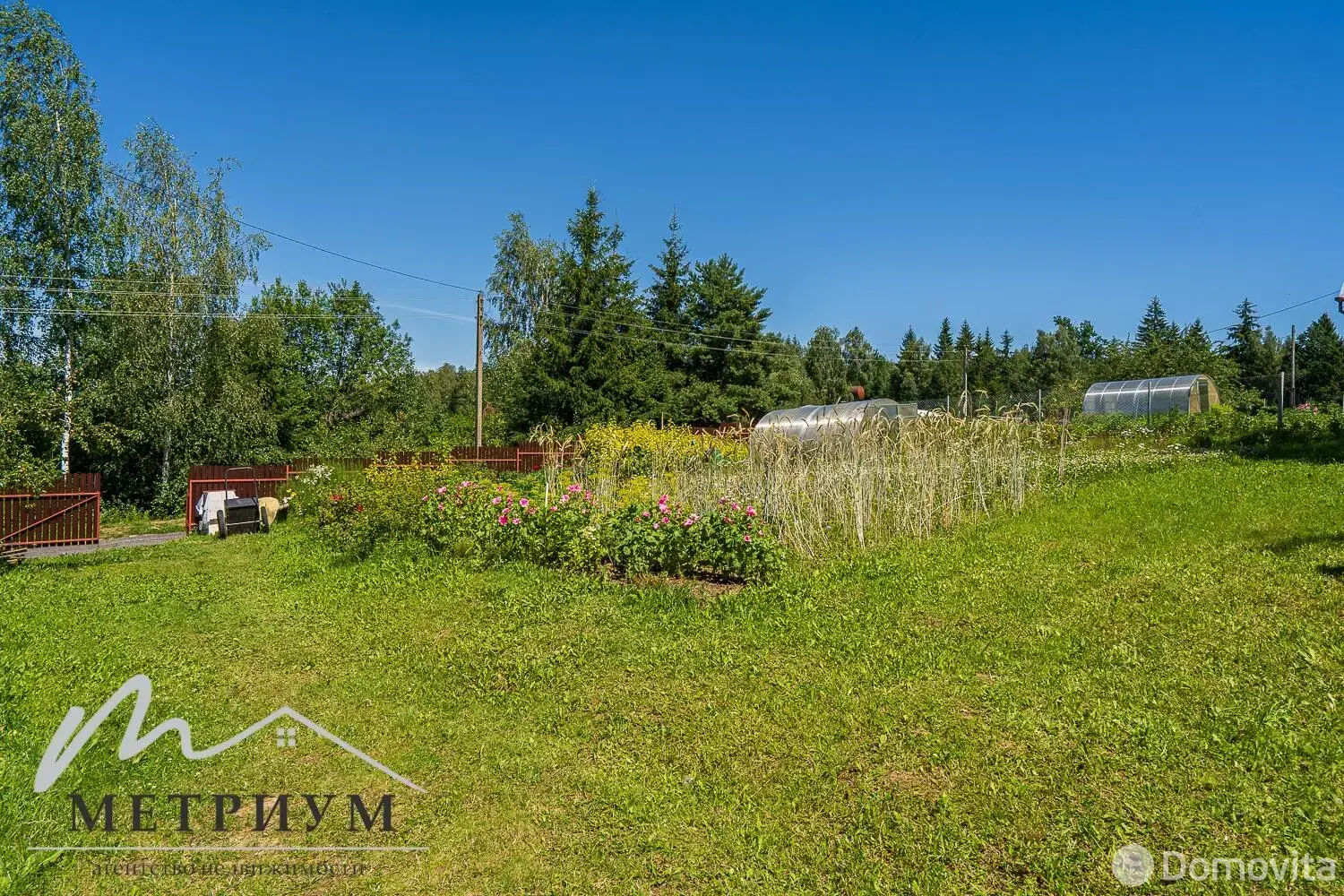 Цена продажи дачи, Полиграфист,