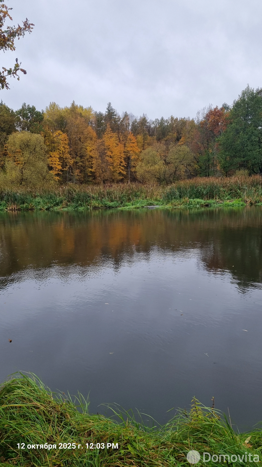 Купить 1-этажную дачу в Великом Поле Минская область, 21000USD, код 185294 - фото 22