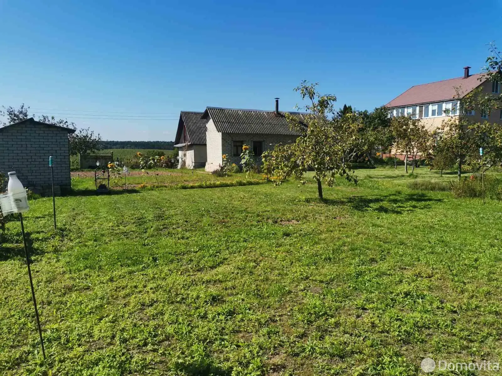 дача, Ученый,