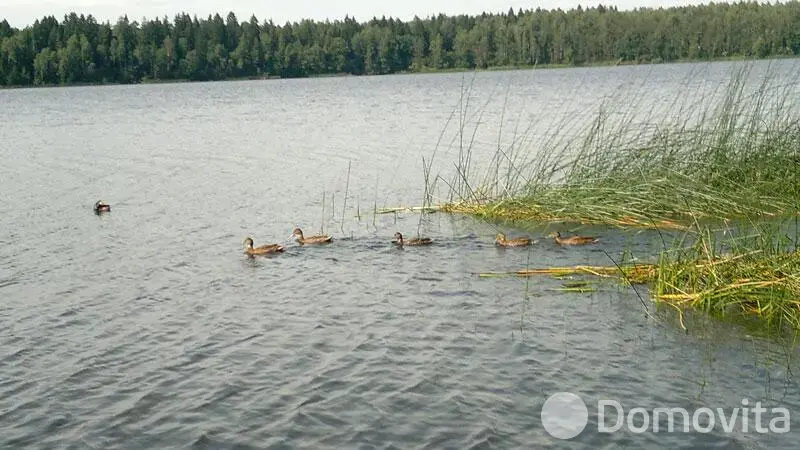 Купить помещение под сферу услуг в Колоднице, ул. Центральная, д. 108 - фото 12