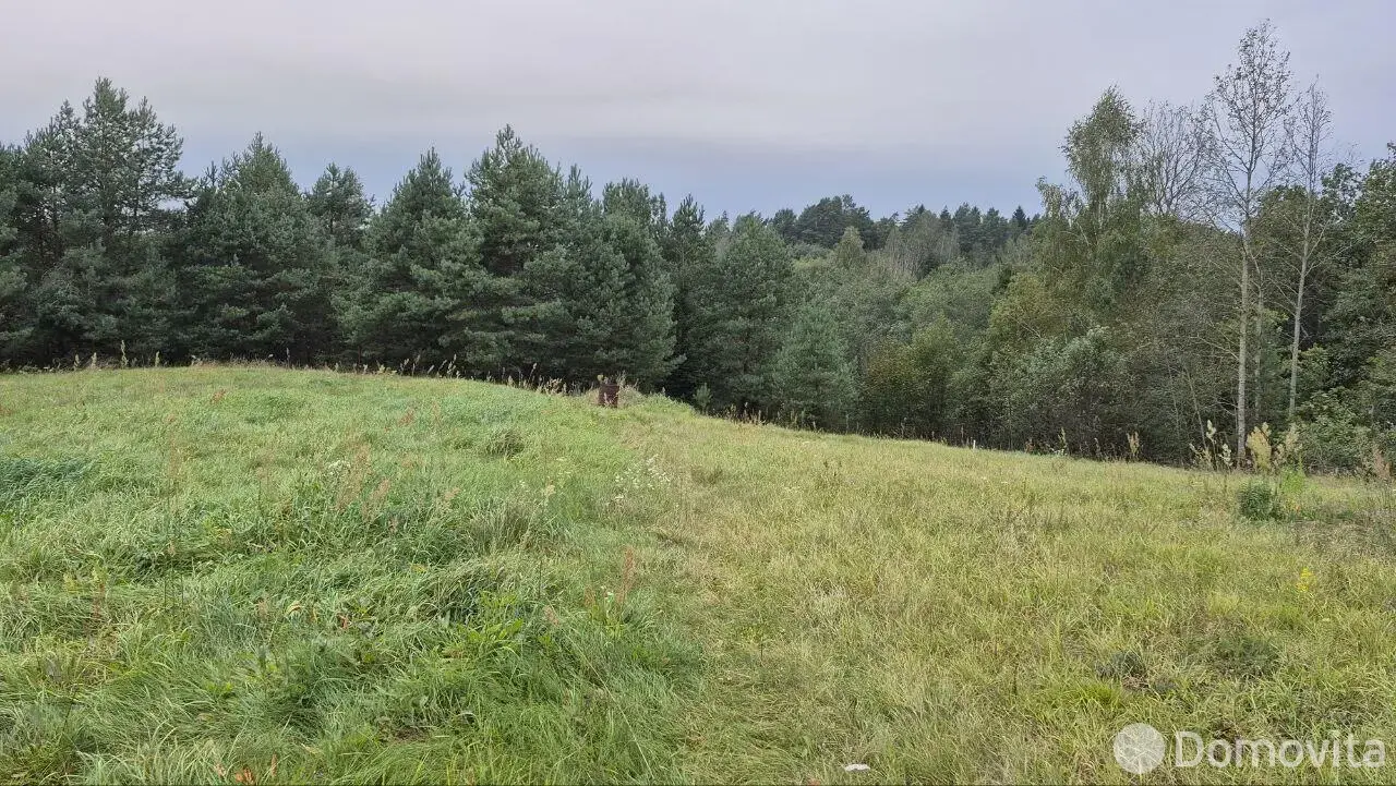 участок, Шепели, - лучшее предложение