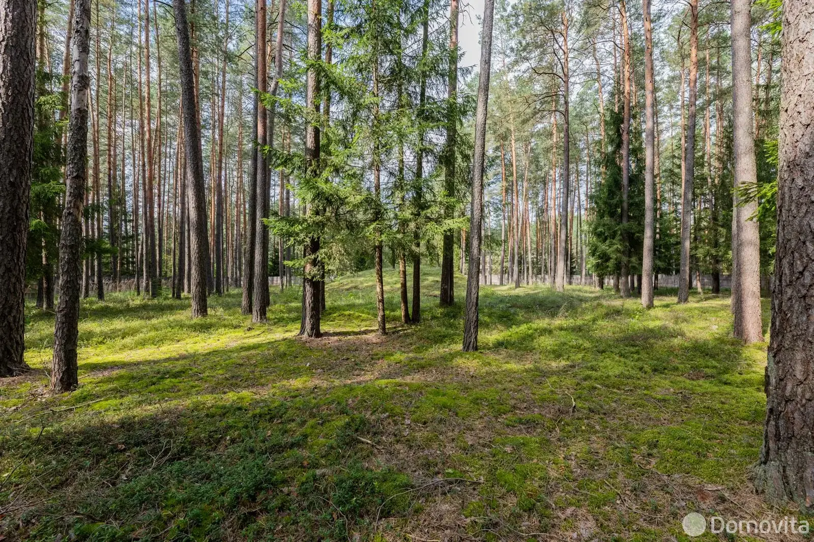 Цена продажи объекта сферы услуг, Раков, ул. Боровая, д. 25