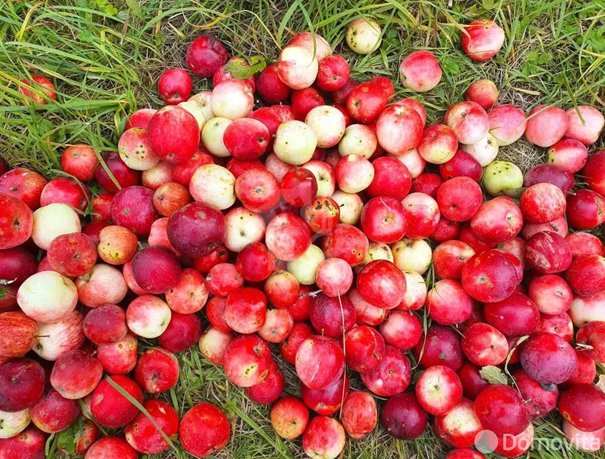 дача, Загорье-1, 