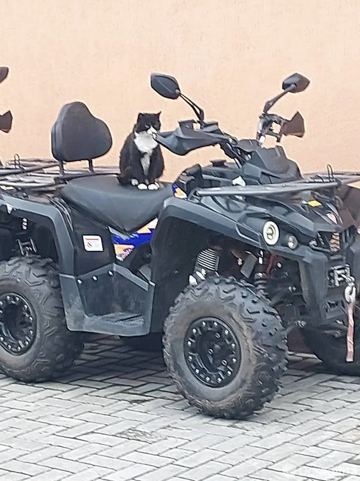Коттедж Моринский подворак на сутки в Морино ул. Центральная, д. 102, 50BYN, код 1524 - фото 2