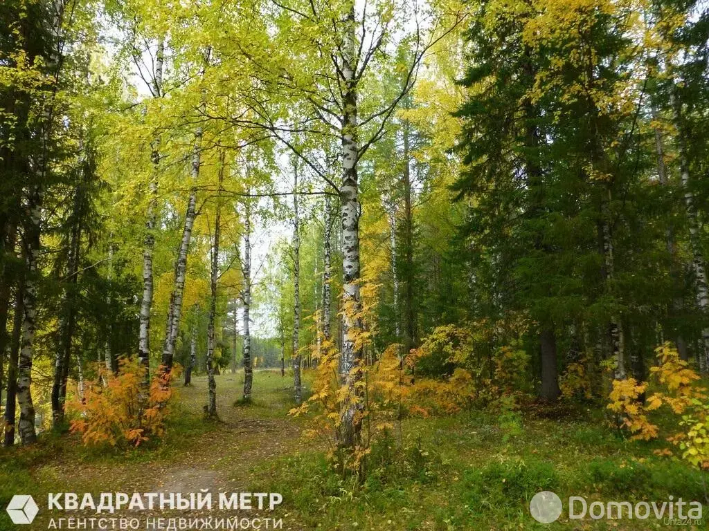 участок, Ивонцевичи, 