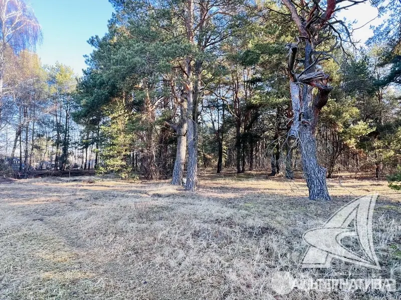 Купить земельный участок, 13.11 соток, Брест, Брестская область, 44500USD, код 571577 - фото 25