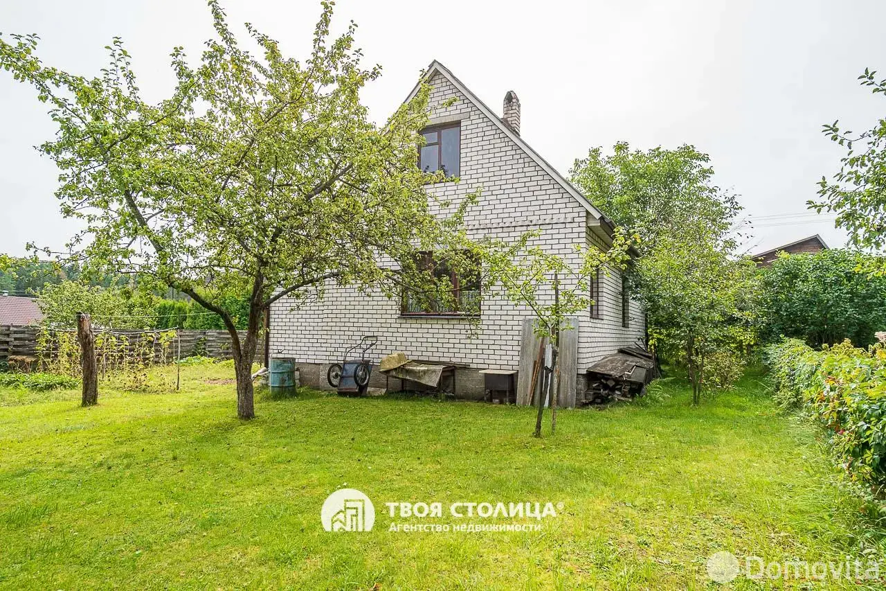 дача, Репортер,