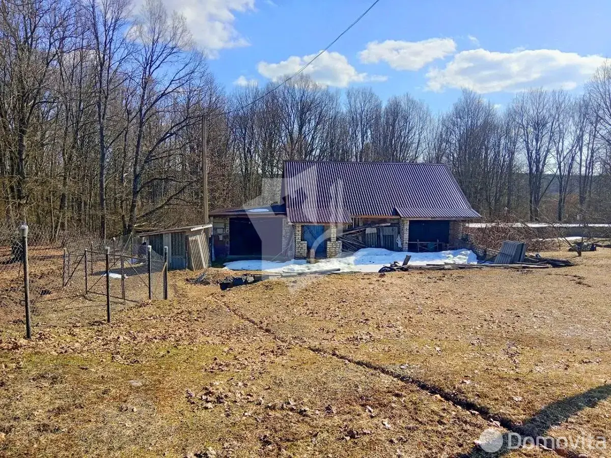 дом, Красный Бор, ул. Тихая