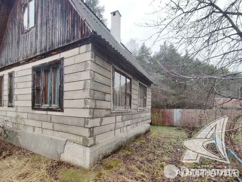 Купить 1-этажную дачу в Чернинский Родничок Брестская область, 14900USD, код 184251 - фото 5