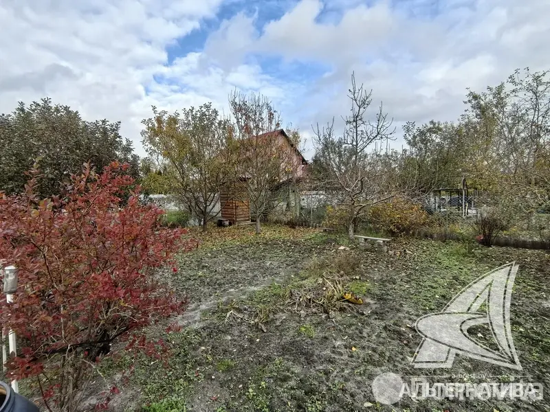 Продажа 1-этажной дачи в Березка-87 Брестская область, 13800USD, код 184383 - фото 14
