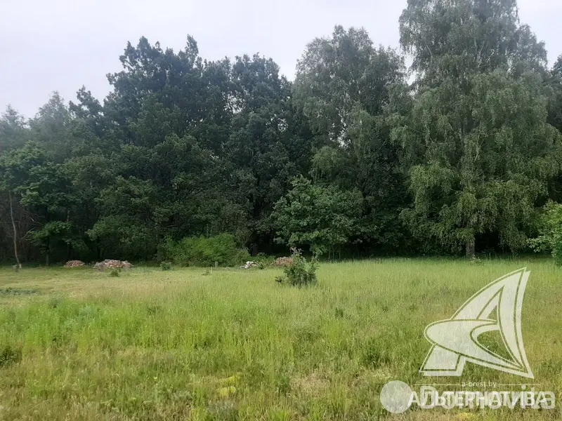 Стоимость продажи участка, Цветотрон, 