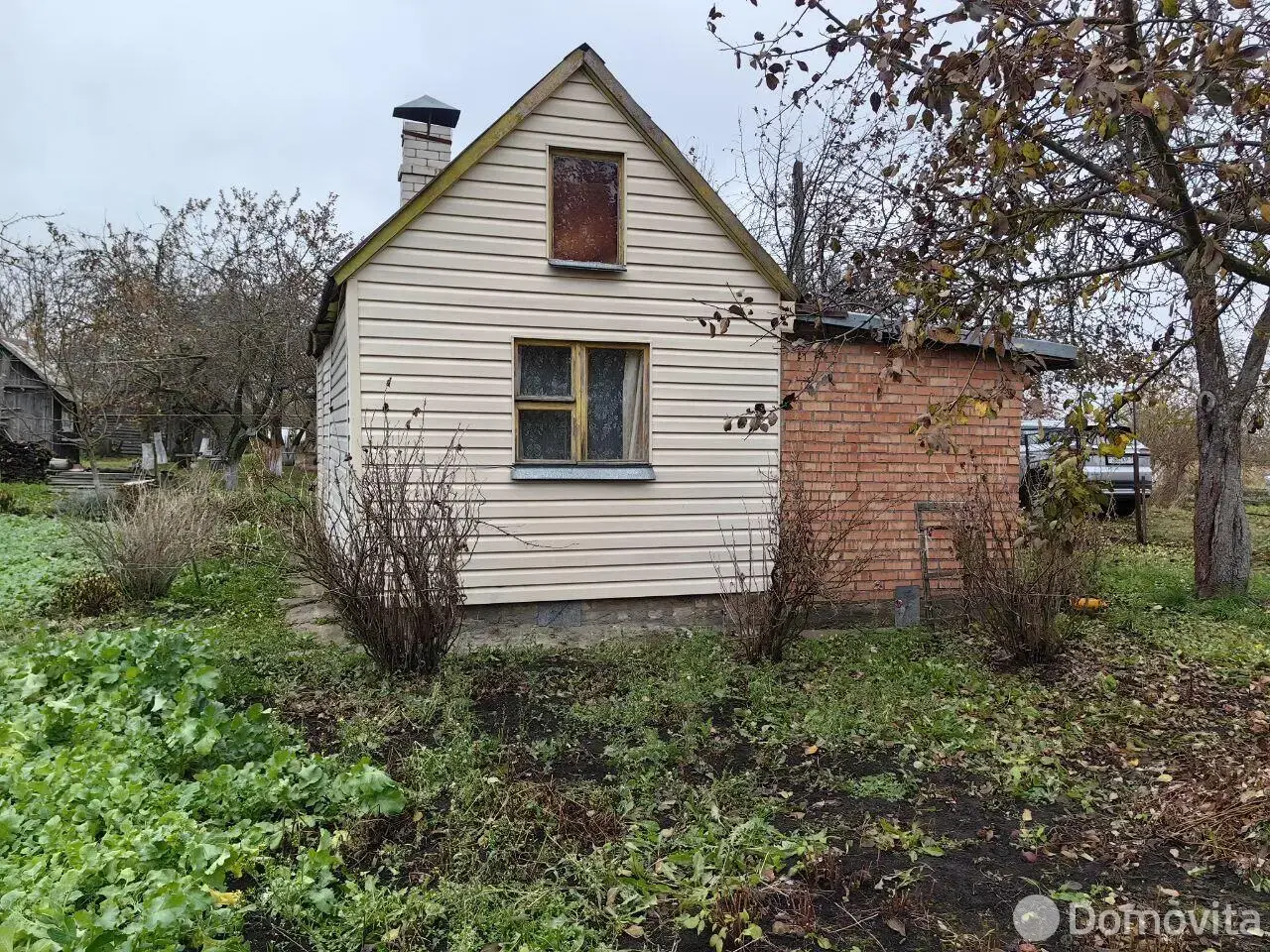 дача, Книжник, 