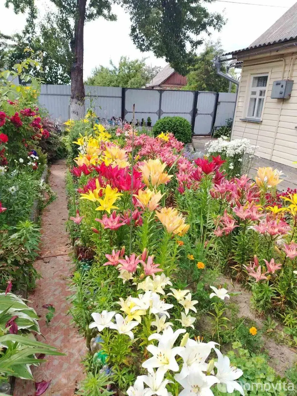 коттедж, Рогачев, ул. Добровольского, д. 15 