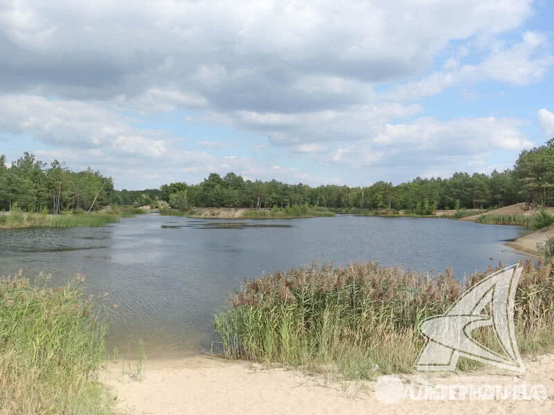 Купить 1-этажную дачу в Армеец-3 Брестская область, 37800USD, код 179525 - фото 11