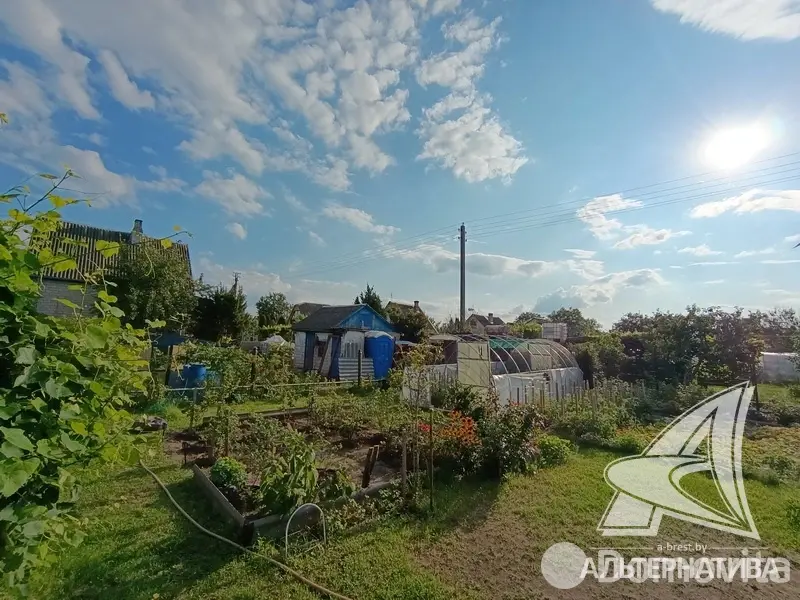 Продажа 1-этажной дачи в Факел Брестгазоаппарат Брестская область, 17000USD, код 183689 - фото 19