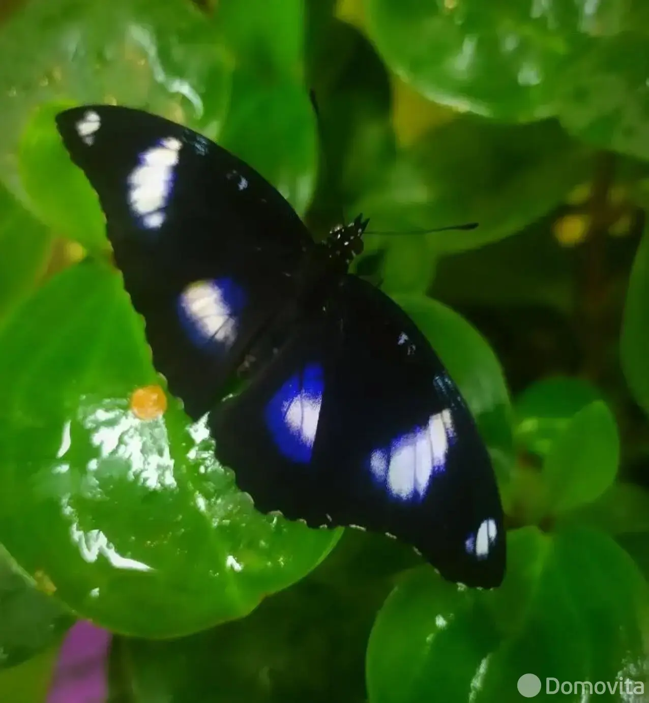 купить торговый объект, Минск, ул. Кирилла Туровского, д. 16