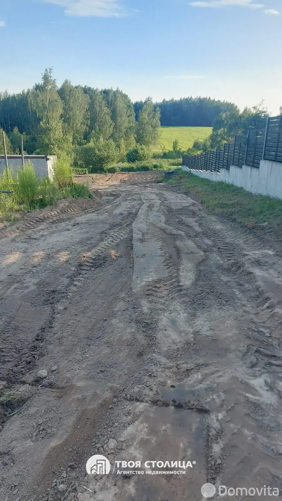 коттедж, Жуки, 