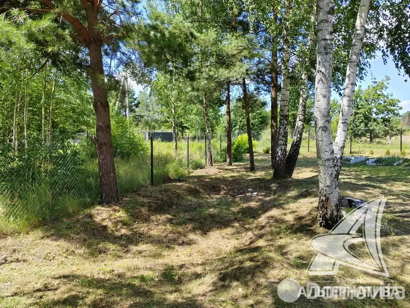 Купить 2-этажную дачу в Ольха-91 Брестская область, 37000USD, код 179149 - фото 41