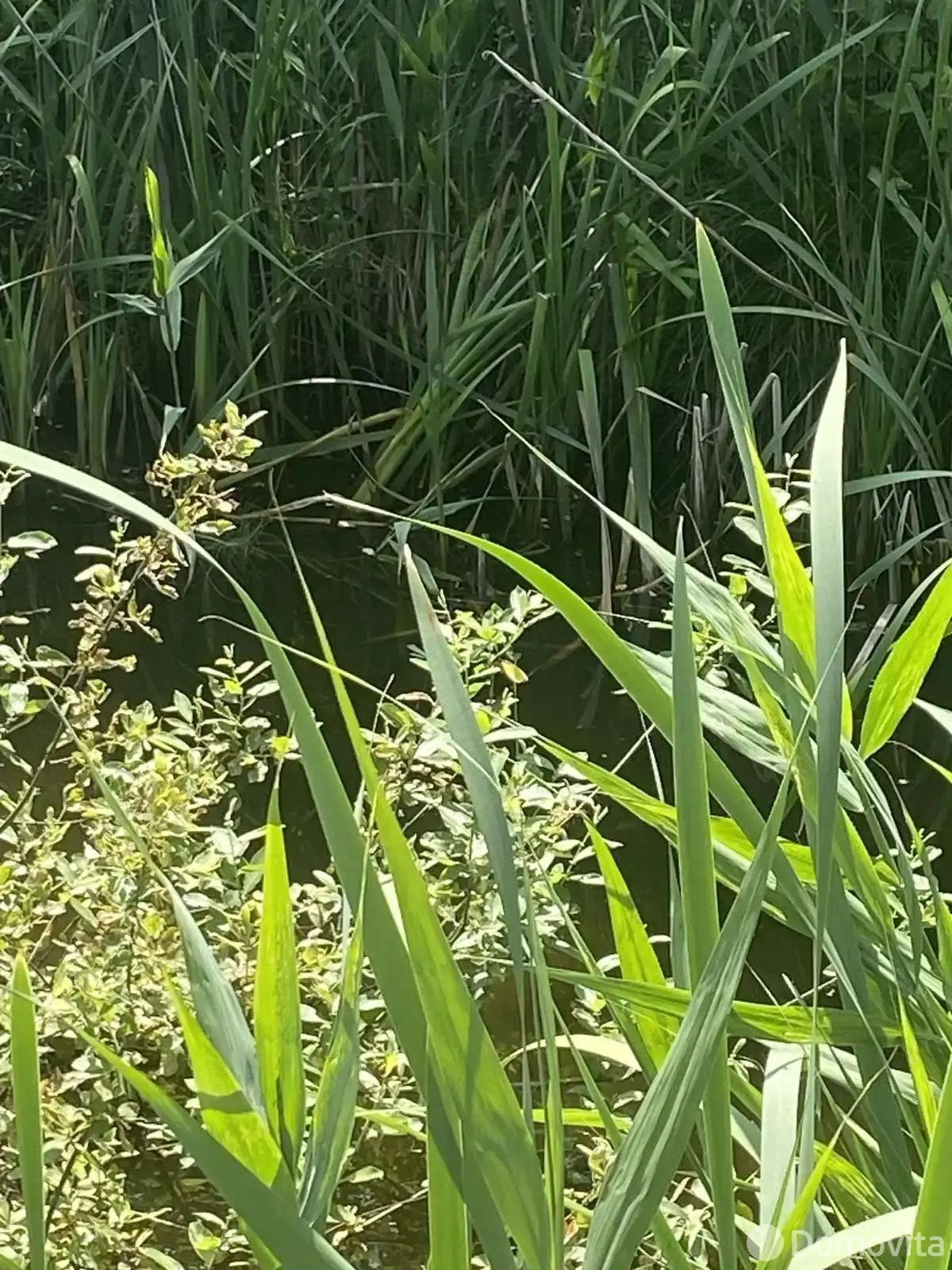 участок, Борисов, ул. Чаловской, д. 10А от собственника