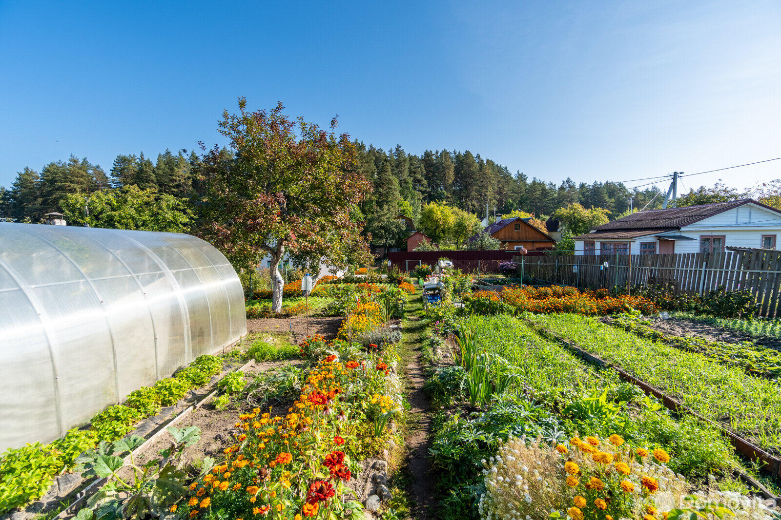 Купить 2-этажную дачу в Зеленое Минская область, 26900USD, код 175384 - фото 34