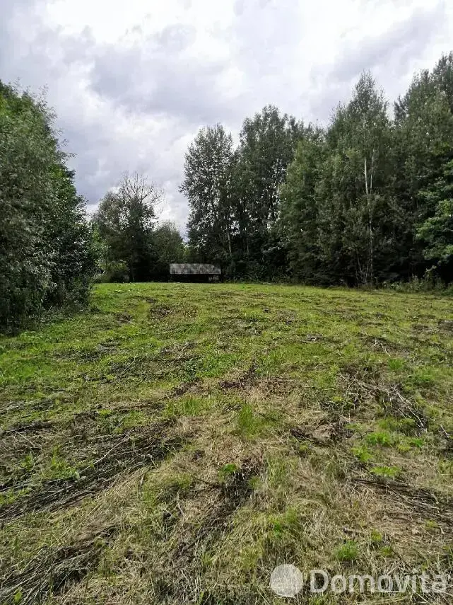 Купить земельный участок, 60 соток, Должа, Витебская область, 25000USD, код 570473 - фото 20