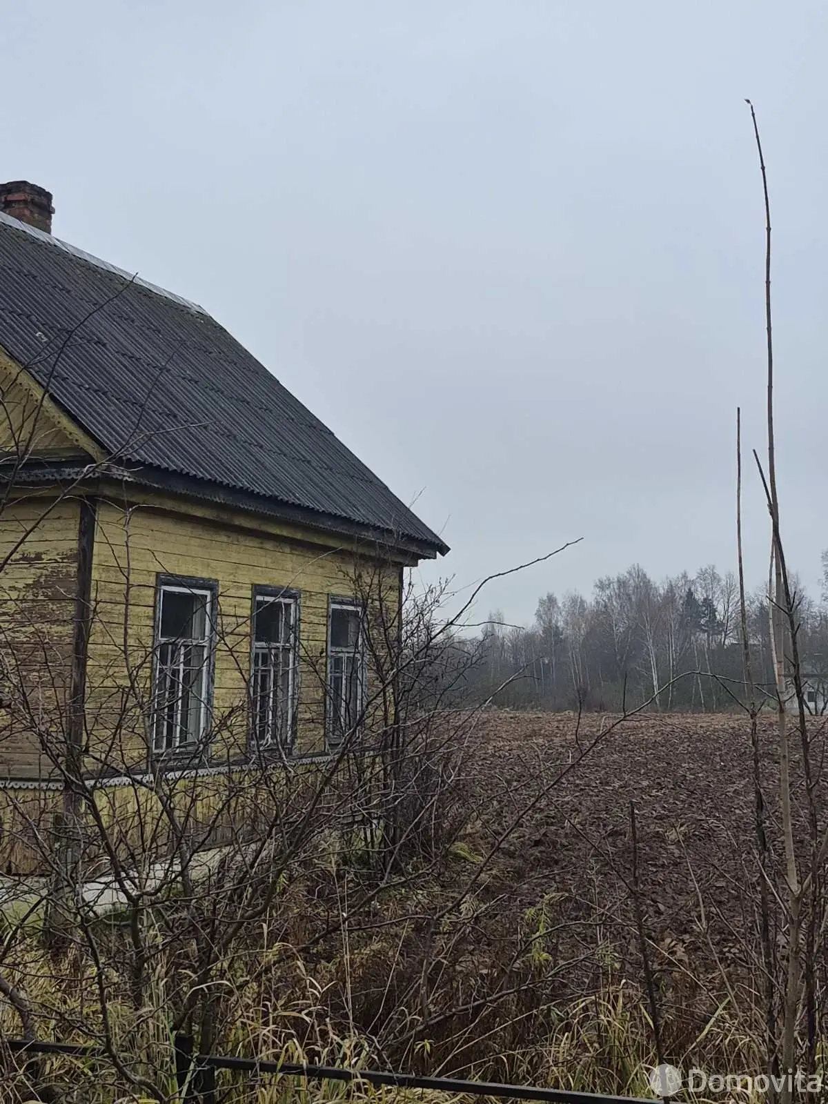 дом, Ольгово, ул. Центральная, д. 55 - лучшее предложение