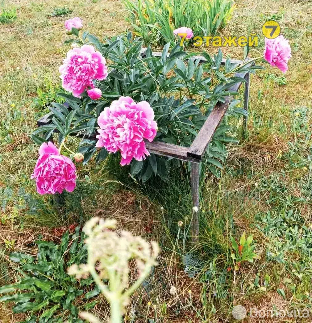 Купить 1-этажную дачу в ПЕЛЕНГ Минская область, 19500USD, код 184047 - фото 21