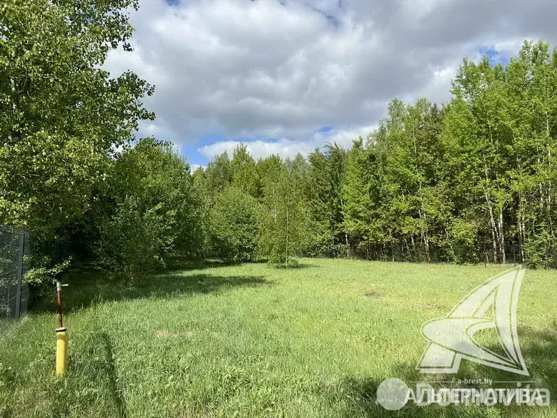 дом, Малые Зводы, 