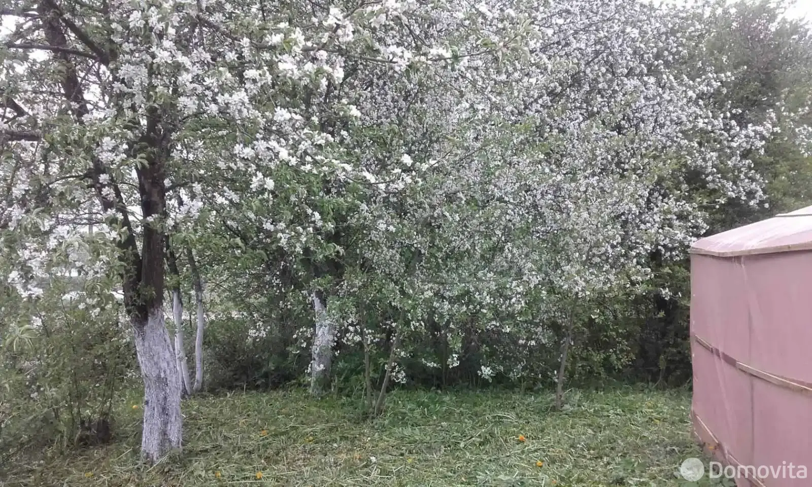 Продажа 2-этажной дачи в Ивушка Полоцкого района Витебская область, 5500USD, код 181759 - фото 14