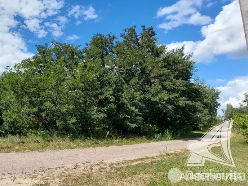 купить дом, Брест,