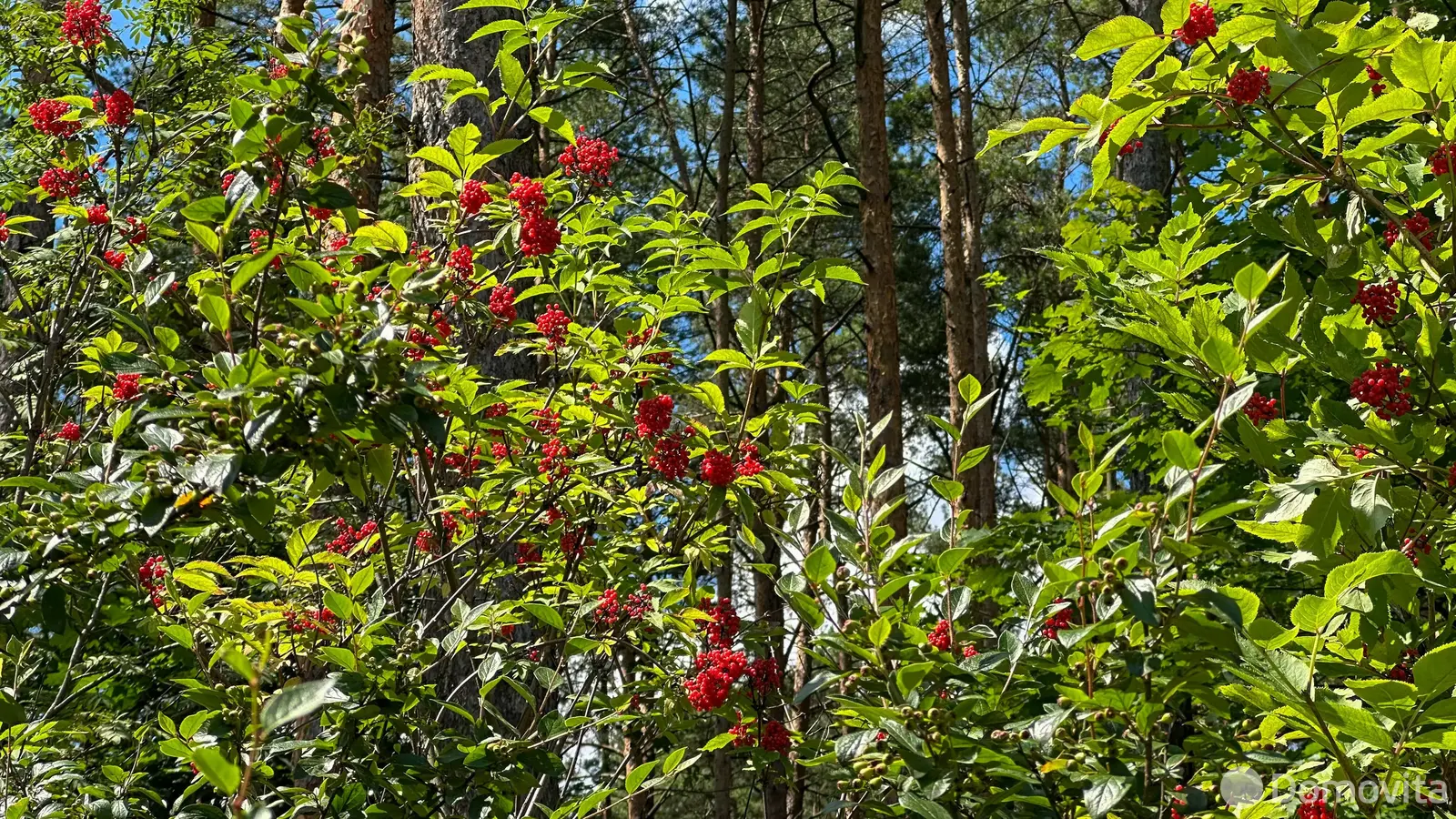 Купить земельный участок, 11.86 соток, Ждановичи, Минская область, 95000USD, код 570616 - фото 20