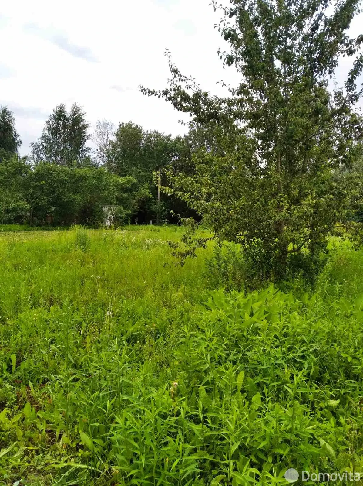 участок, Витебск, ул. 4-я Каменная, стоимость продажи 30 541 р.