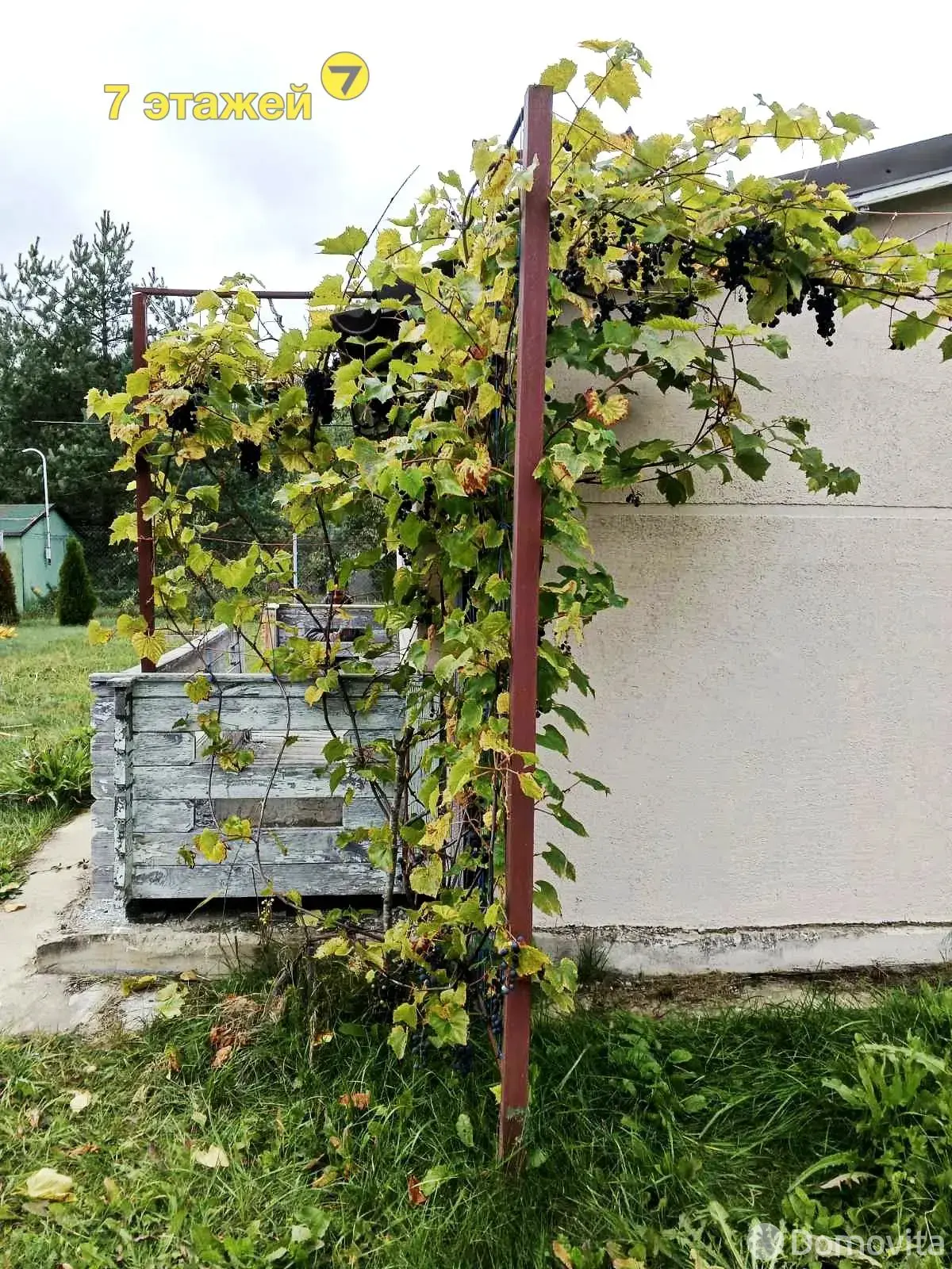 Стоимость продажи дачи, ПЕЛЕНГ,