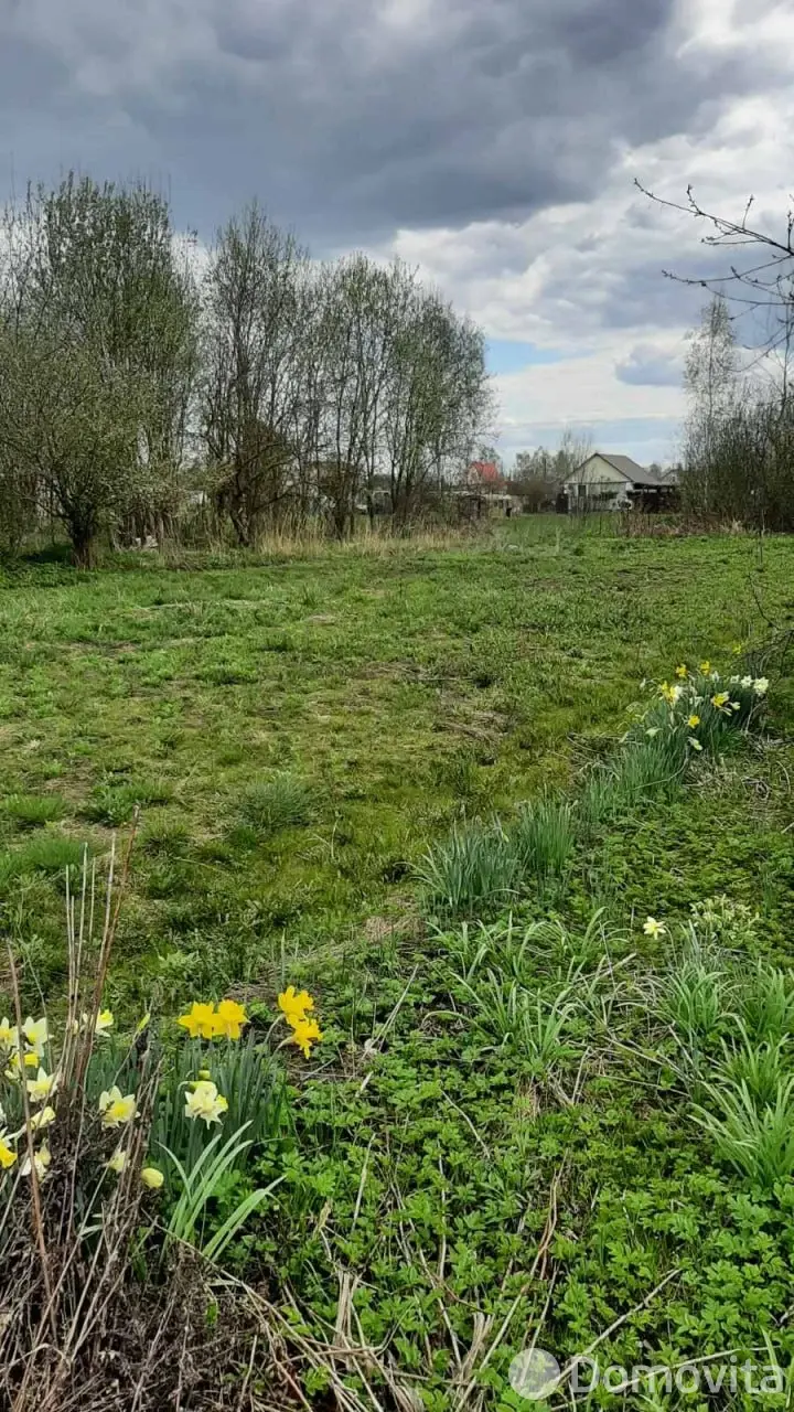 участок, Дричин,