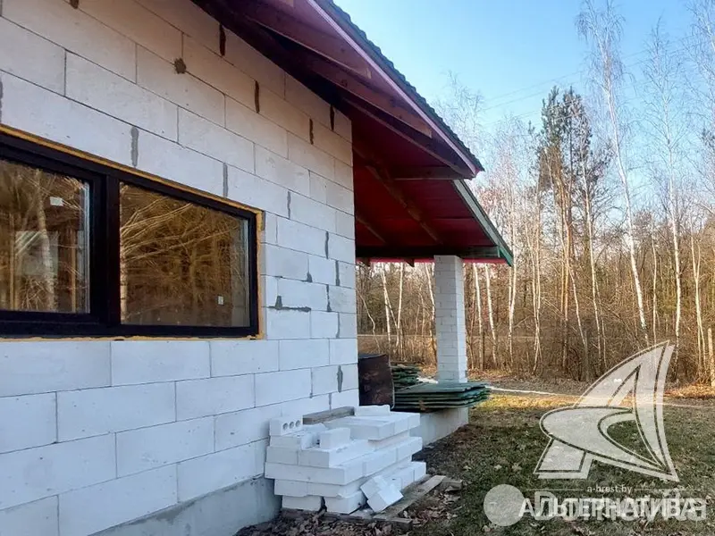 Купить 1-этажную дачу в Росинка при Брестском ДЭУ-138 Брестская область, 65000USD, код 185112 - фото 11