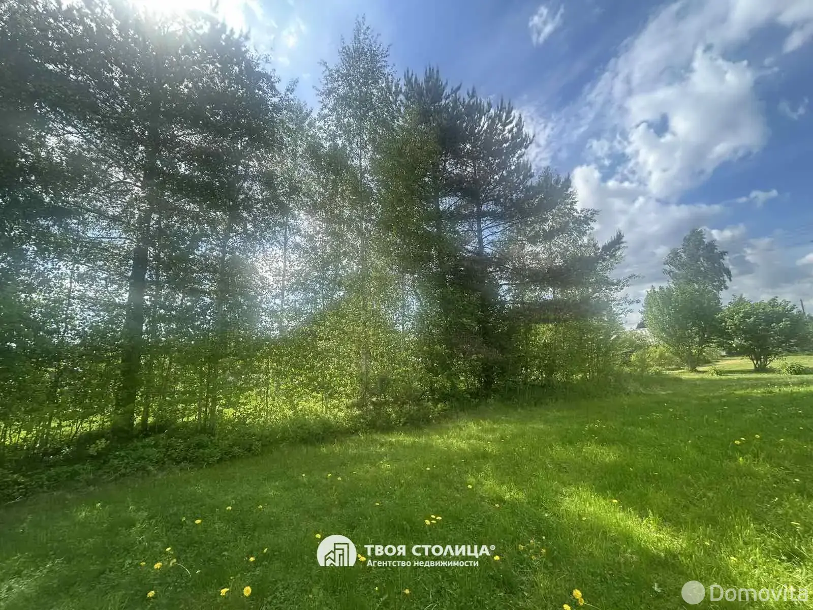 Купить 1-этажную дачу в Мостище Минская область, 40000USD, код 185959 - фото 19