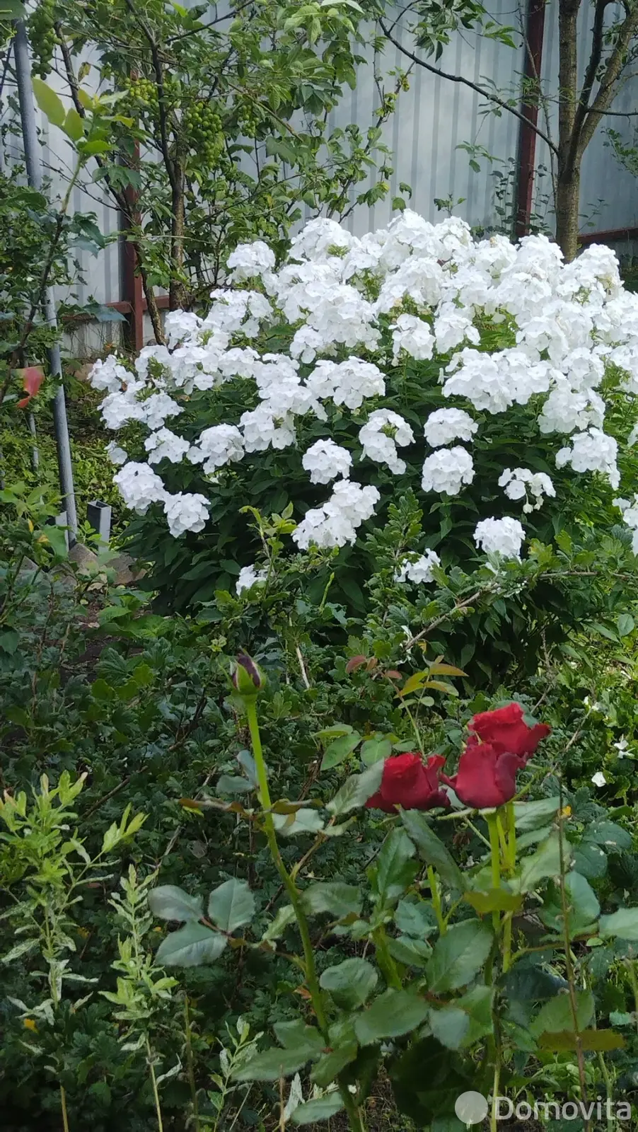 продажа дачи, Связист-88, 