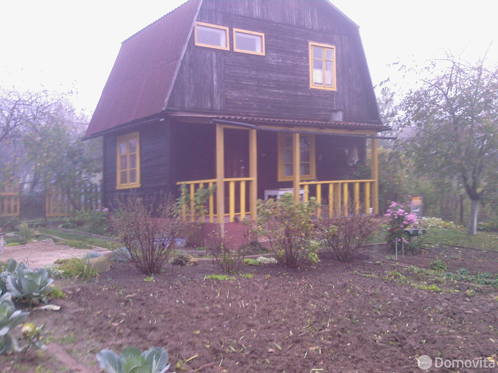 дача, Новики,