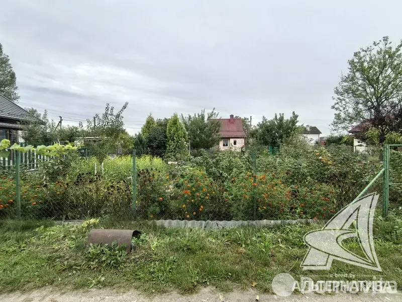 Продажа 1-этажной дачи в Керамик-1 Брестская область, 19000USD, код 184197 - фото 18