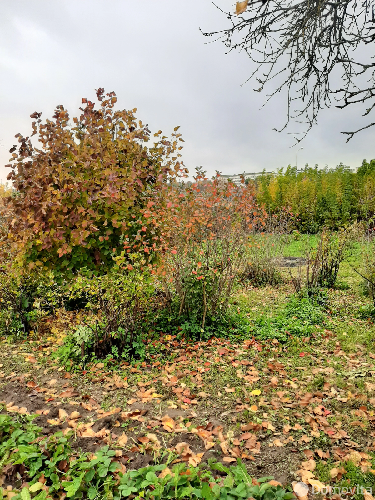 Стоимость продажи участка, Орша, ул. Днепровская, д. 33