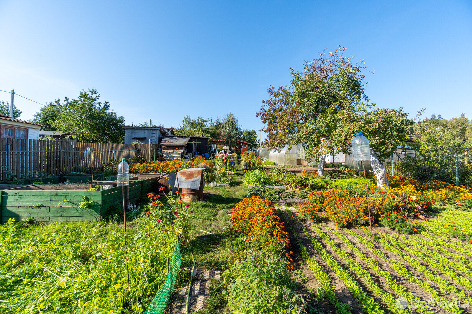 Купить 2-этажную дачу в Зеленое Минская область, 26900USD, код 175384 - фото 36