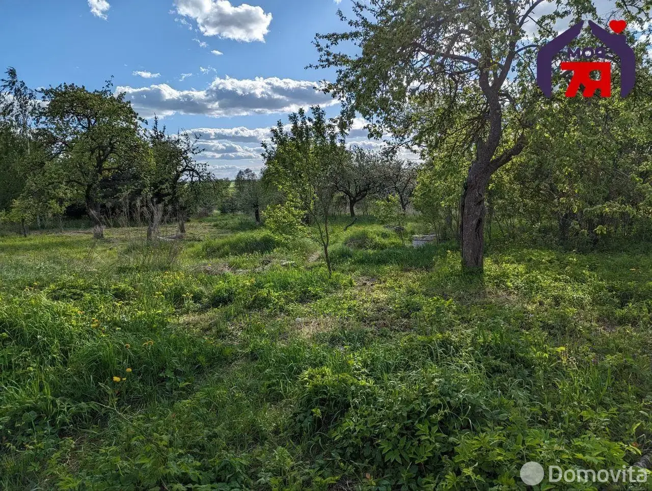 дом, Карпиловка, ул. Центральная, стоимость продажи 99 291 р.