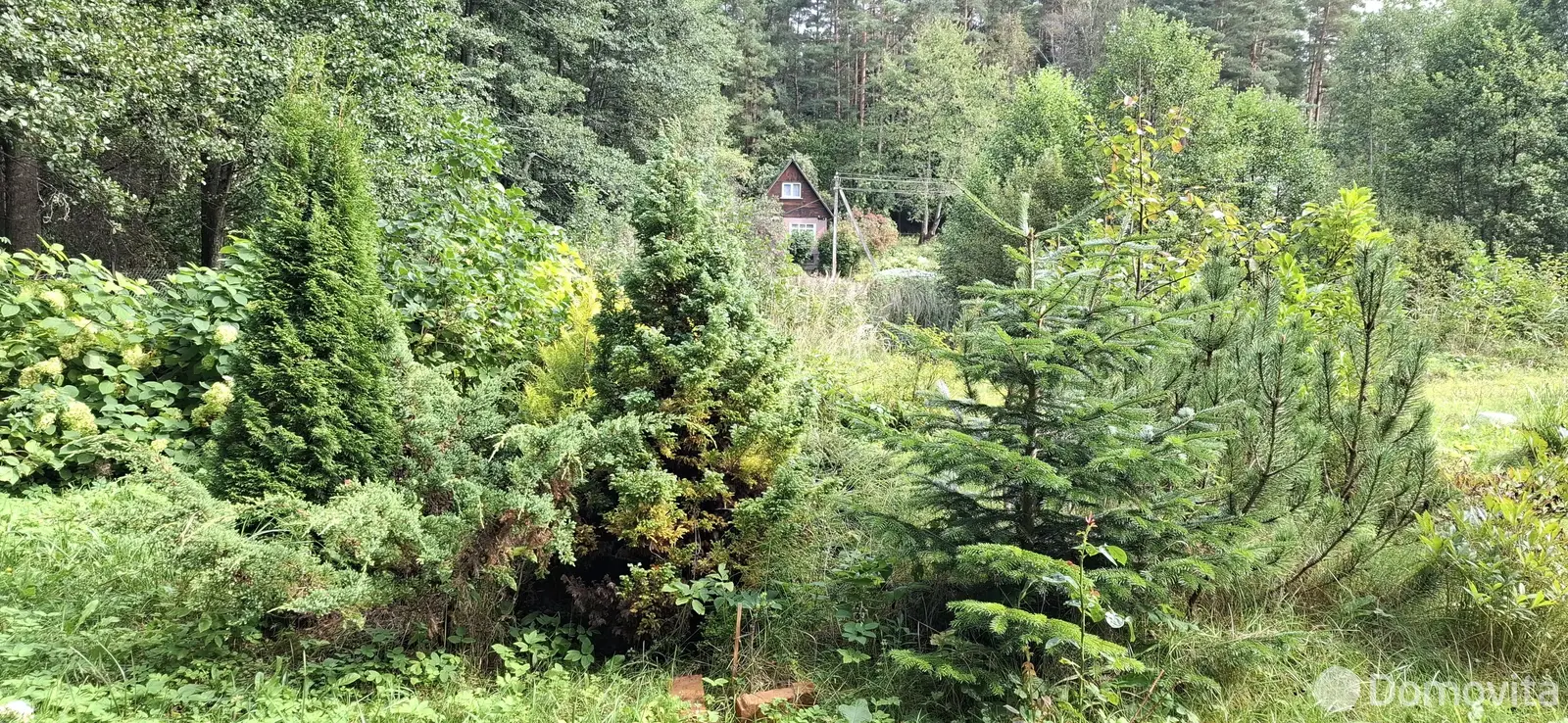 Купить земельный участок, 5.83 соток, Кристалл-сад, Минская область, 6000USD, код 571006 - фото 17