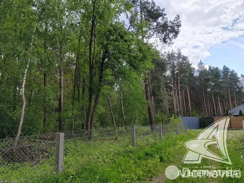 Купить 2-этажную дачу в Березовая роща-87 Брестская область, 59000USD, код 182777 - фото 14