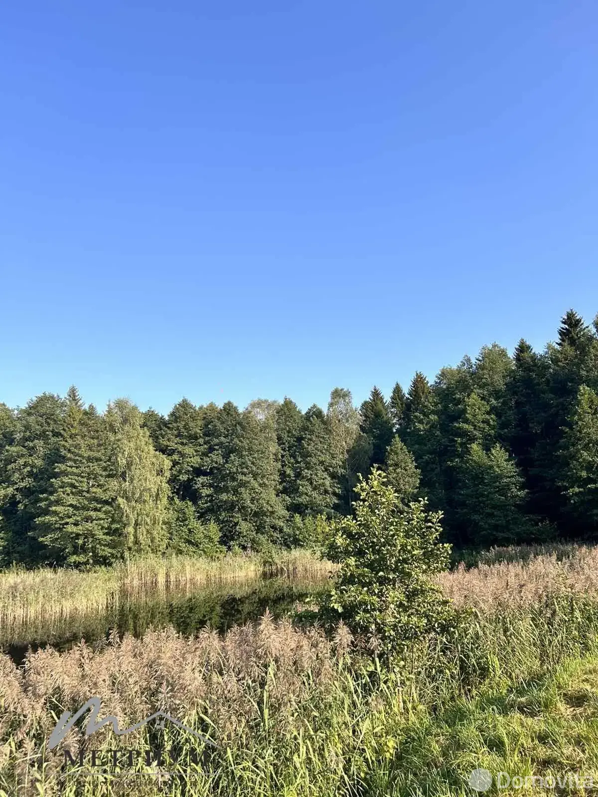 Купить 2-этажную дачу в Строитель садоводы-любители Минская область, 15000USD, код 184073 - фото 14