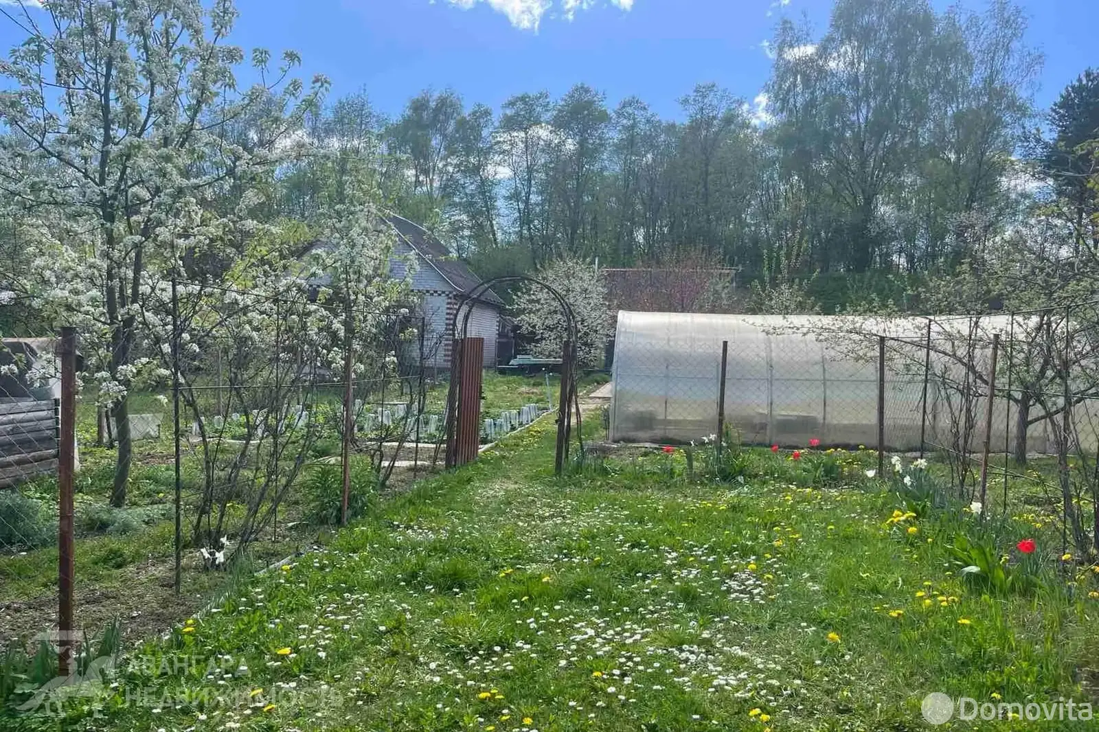 дача, ПРОЕКТИРОВЩИК, 