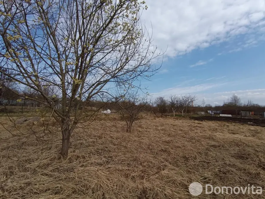 Купить земельный участок, 10.67 соток, Лутики, Витебская область, 10500BYN, код 571766 - фото 2