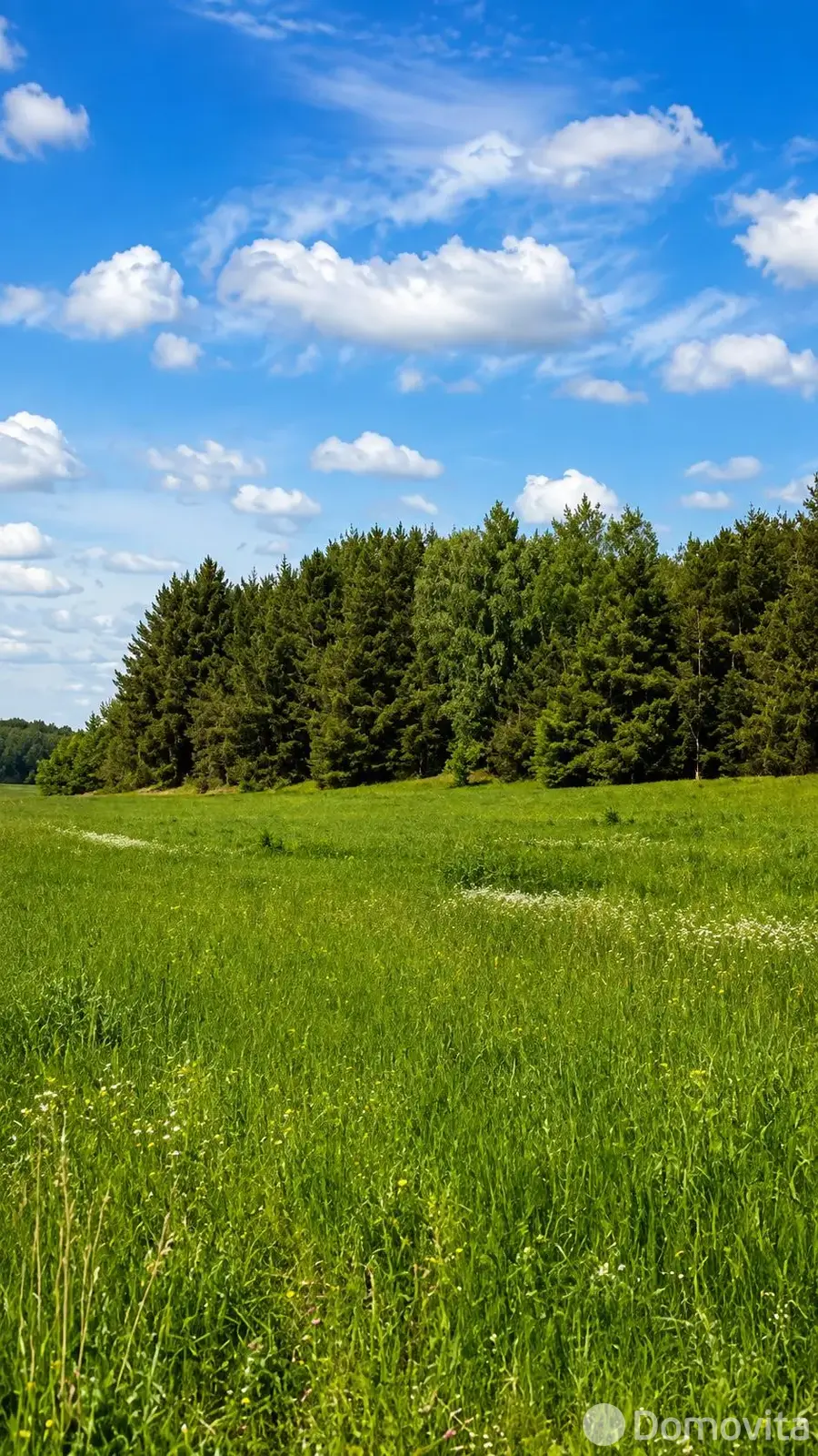 Цена продажи коттеджа, Мрочки, ул. Центральная, д. 8
