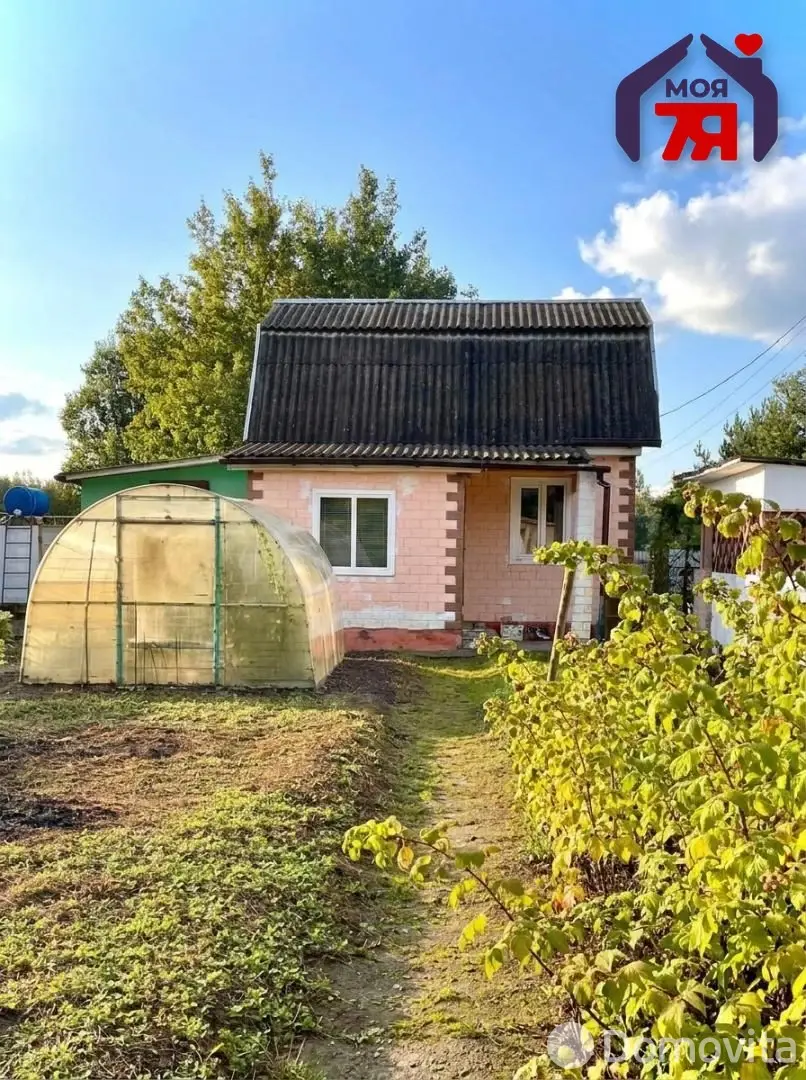 дача, Антонина, 